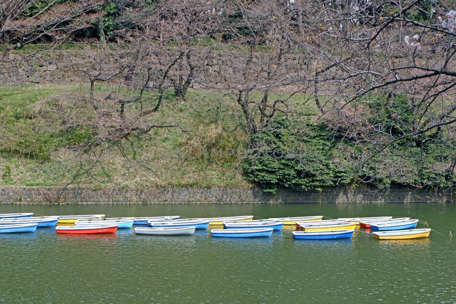 The Japan outdoor park river with colorful sight seeing boat in sunny day