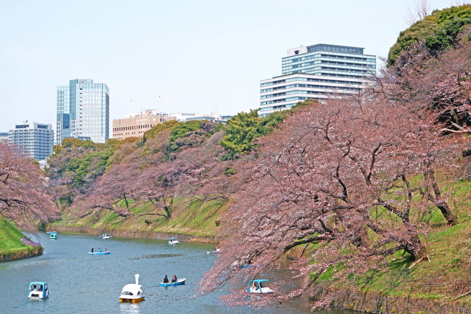  The natural outdoor park has some recreational boats on Japan Tokyo river in the natural outdoor park

