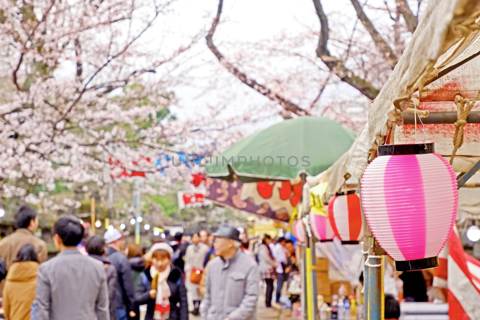 Beautiful pink sakura cherry blossom flowers and trees in Japan Tokyo outdoor market
