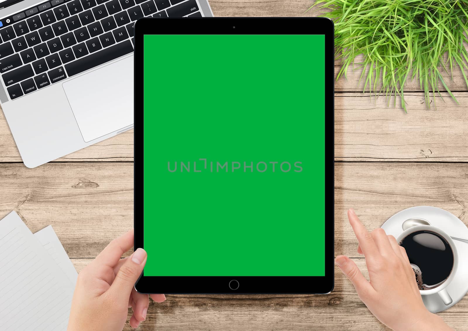 Laptop, plants, coffee on office wooden desk, human hand holding tablet with green screen for video production