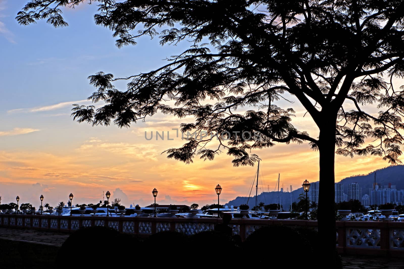 The luxury yacht, footpath, silhouette of tree and fences, gradient sky at sunset