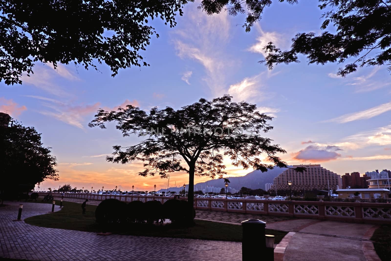 The luxury yacht, footpath, silhouette of tree and fences, gradient sky at sunset