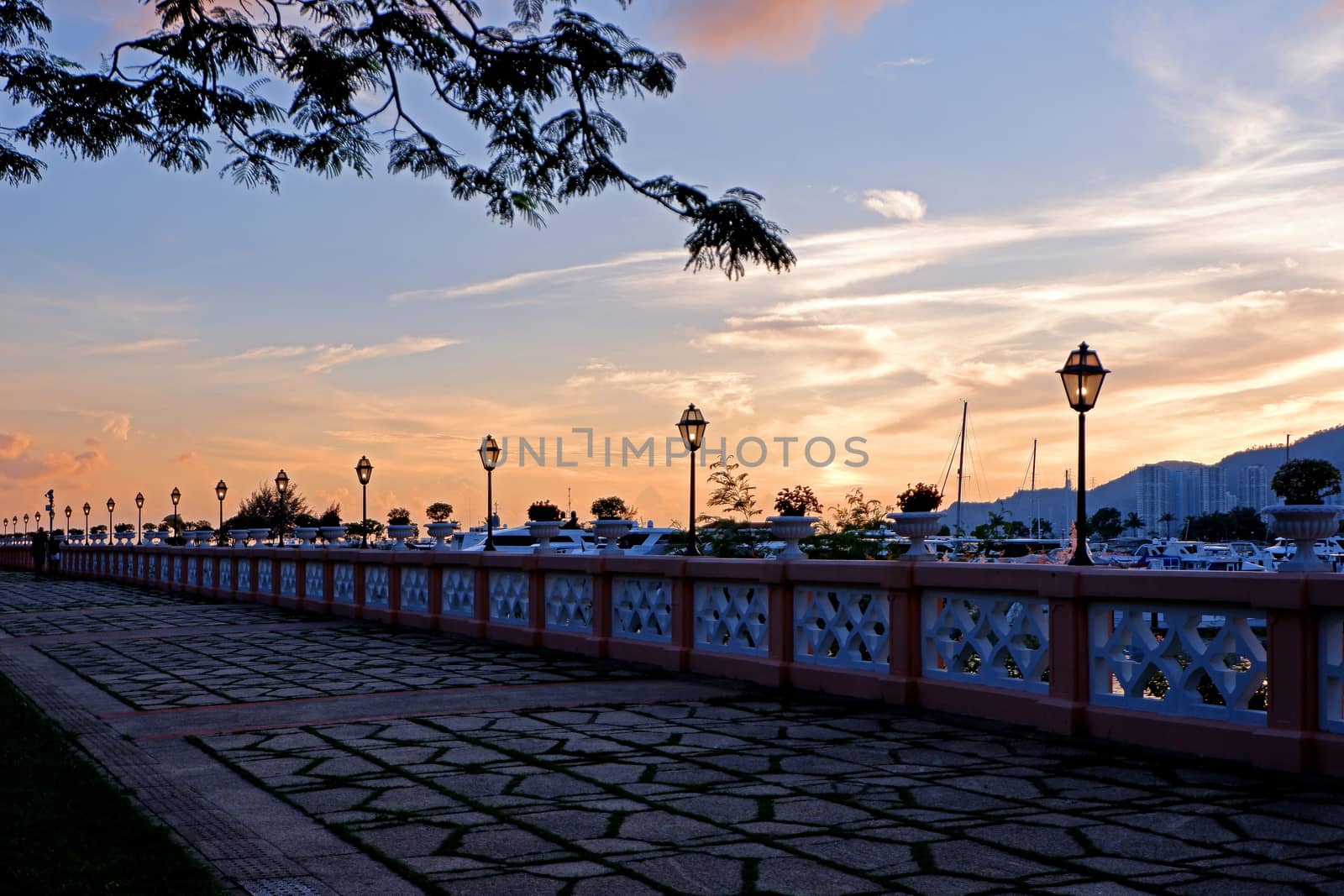 Luxury yacht, footpath, fence,  silhouette of tree and gradient  by cougarsan