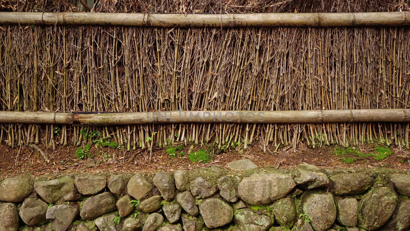 Natural bamboo textured wall background in outdoor garden by cougarsan