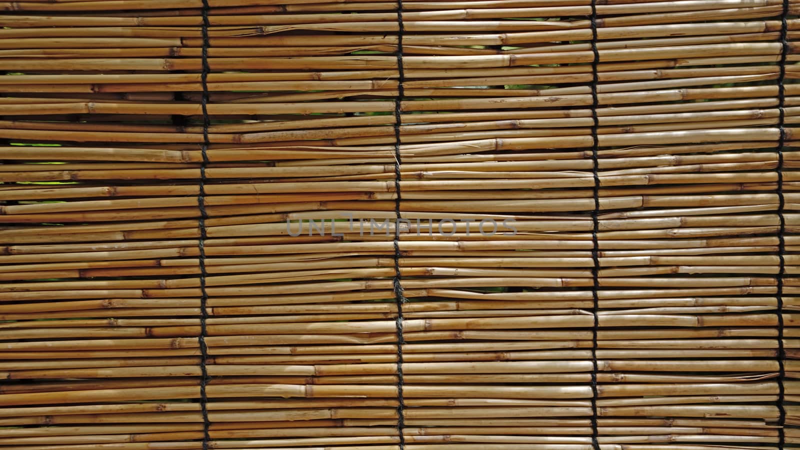 The natural bamboo textured wall background in outdoor garden