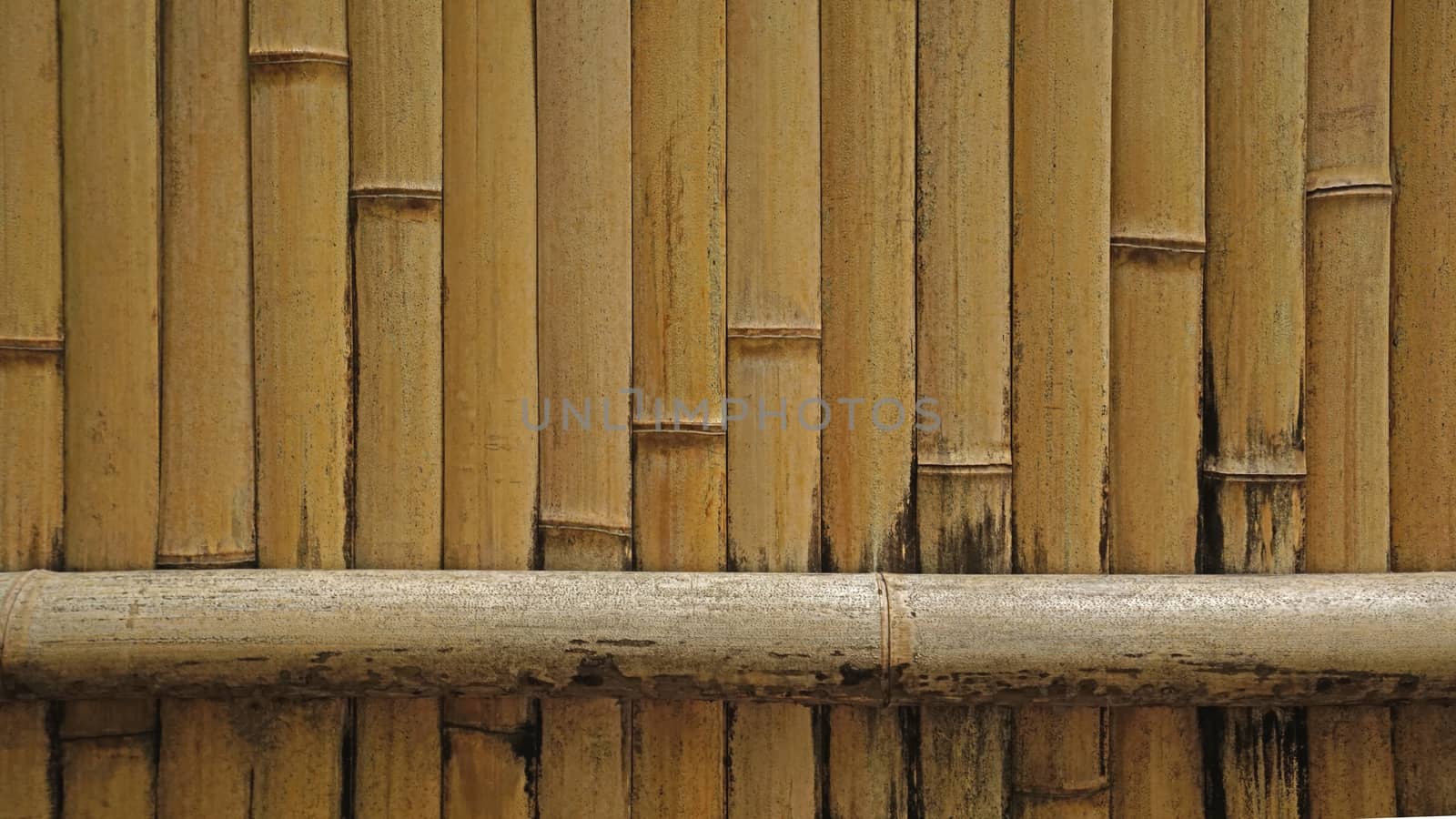 Natural bamboo textured wall background in outdoor garden by cougarsan