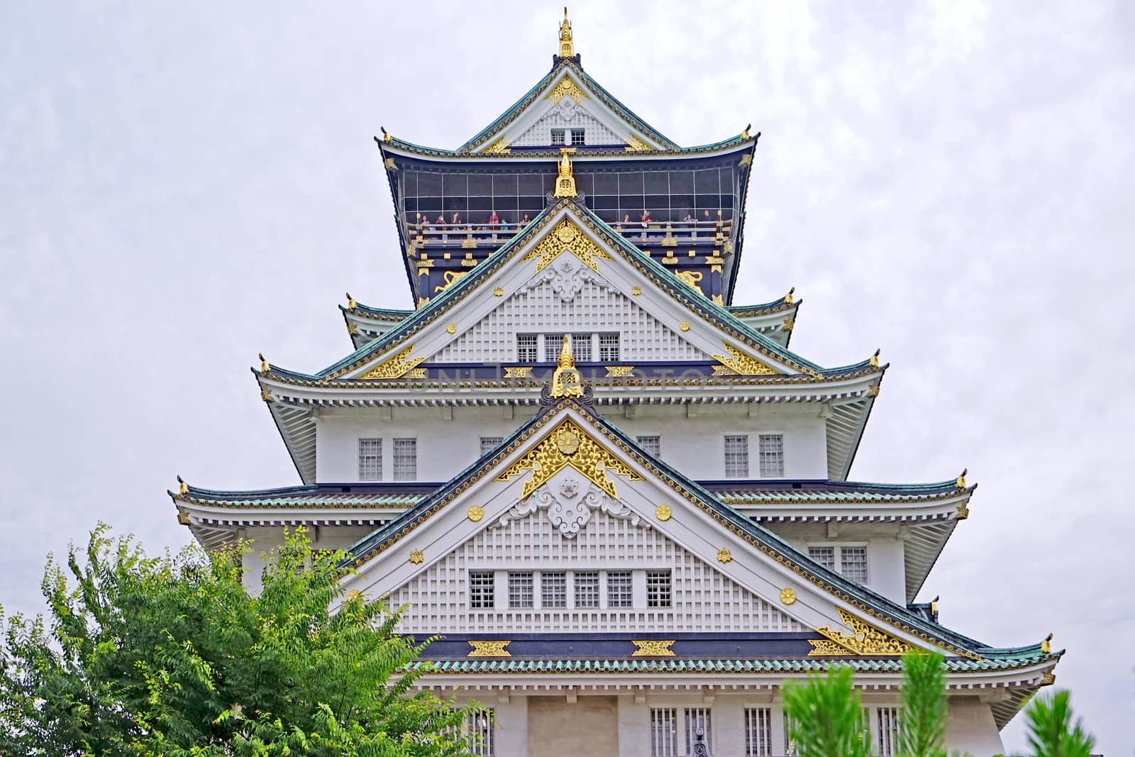 The Japan Osaka landmark historical castle architectural with green tree