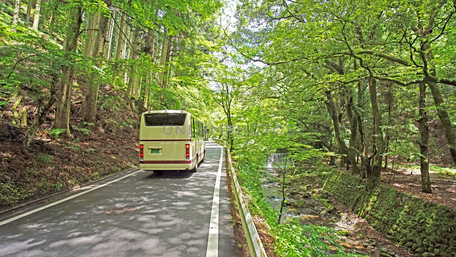 The going up bus to on the road path of the countryside mountain 