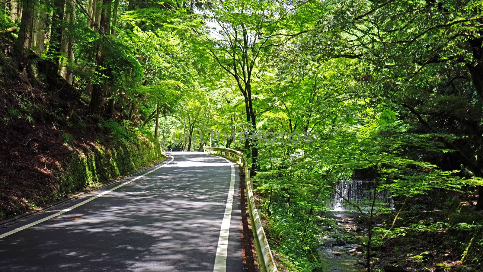 The car road, fence, natural waterfall, river, green tree and plant in Japan countryside