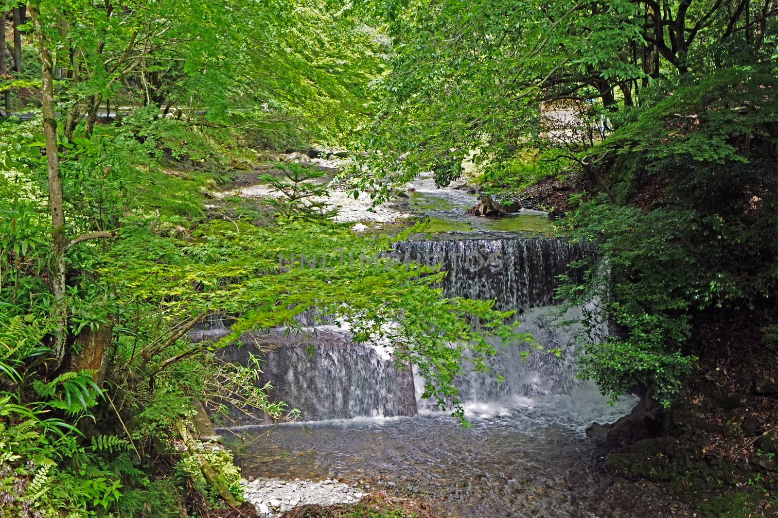 Natural waterfall, river, tree and plant in Japan countryside by cougarsan