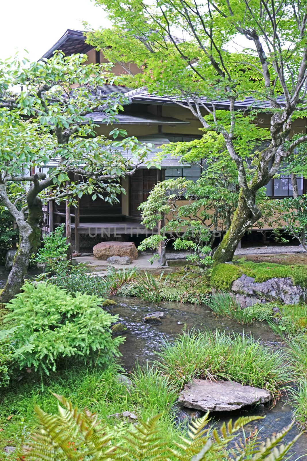 The vertical outdoor footpath, green plants and pavilion in the Japanese zen garden