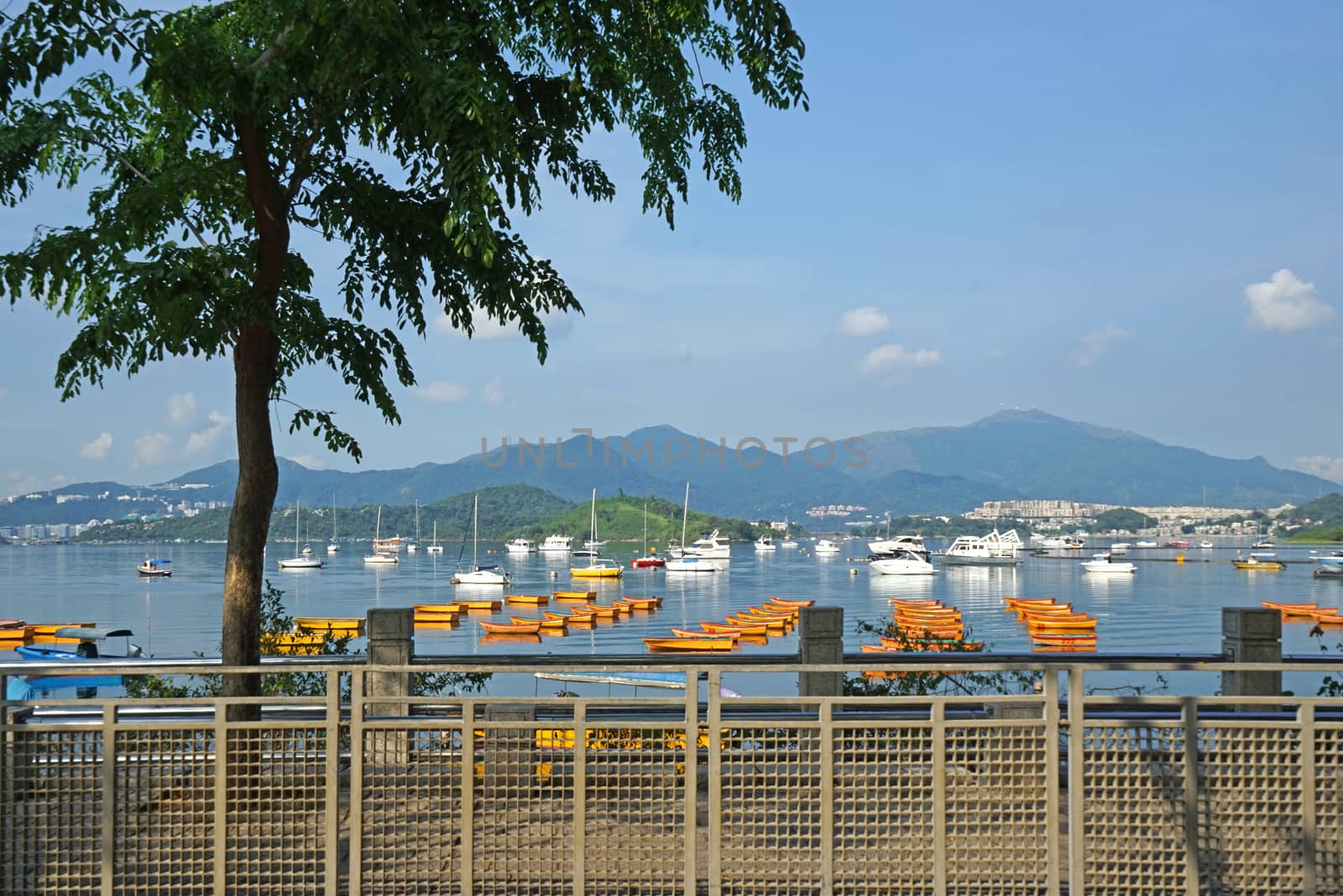 The orange recreational boats on lake, mountains, park fence and tree