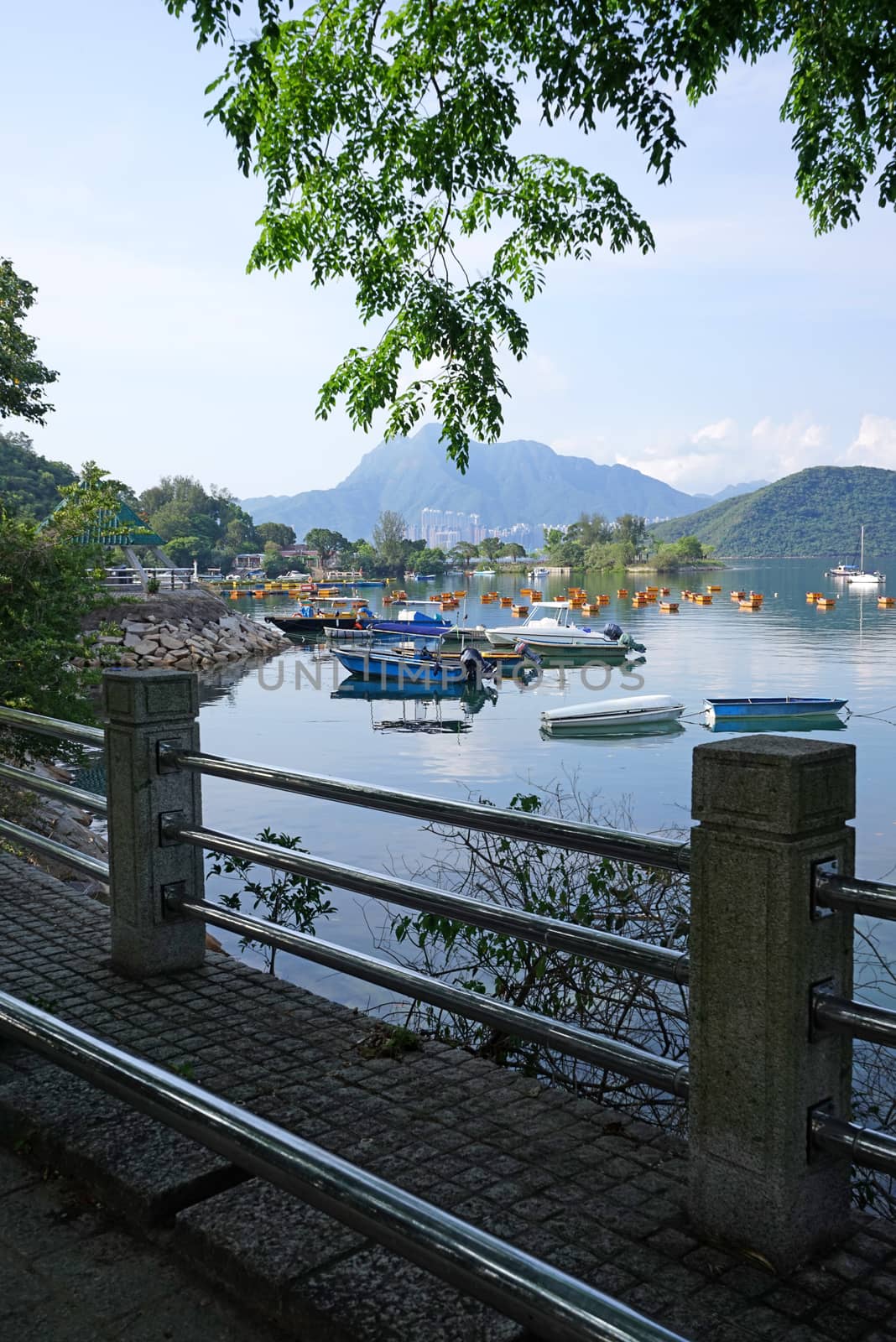 Yacht, fishing and recreational boats on lake, fence and mountai by cougarsan