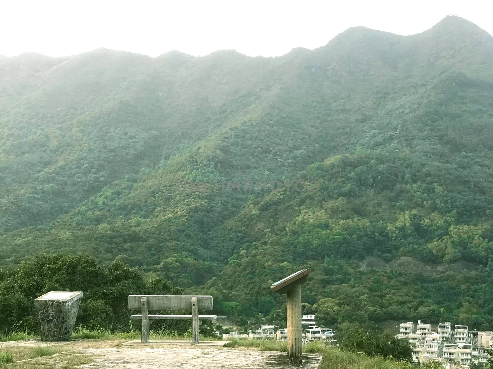 The tree, outdoor chair with village and green mountain background