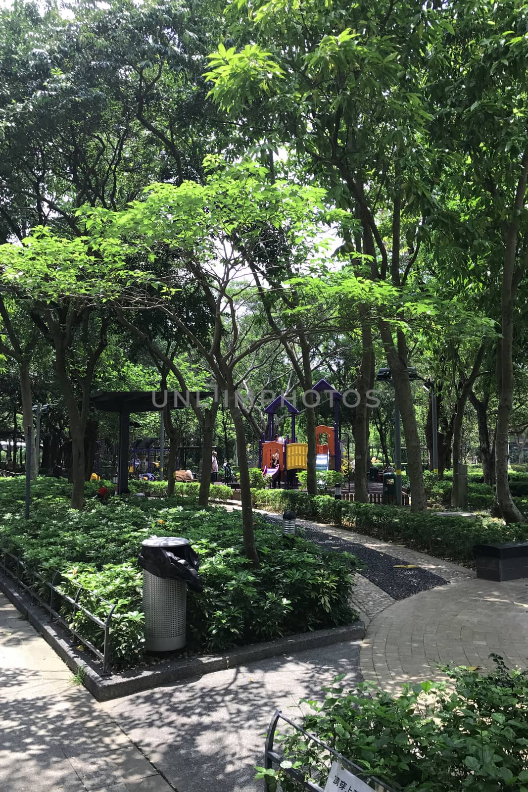 Outdoor playground, green tree and plants in the park