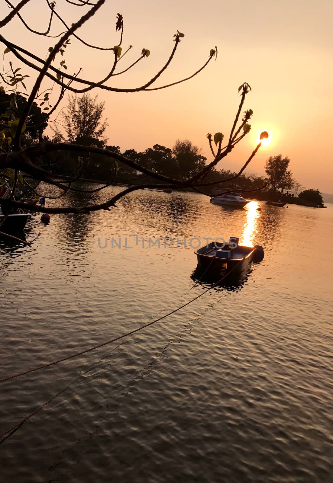 Sun, tree and fishing boat on the lake at sunset