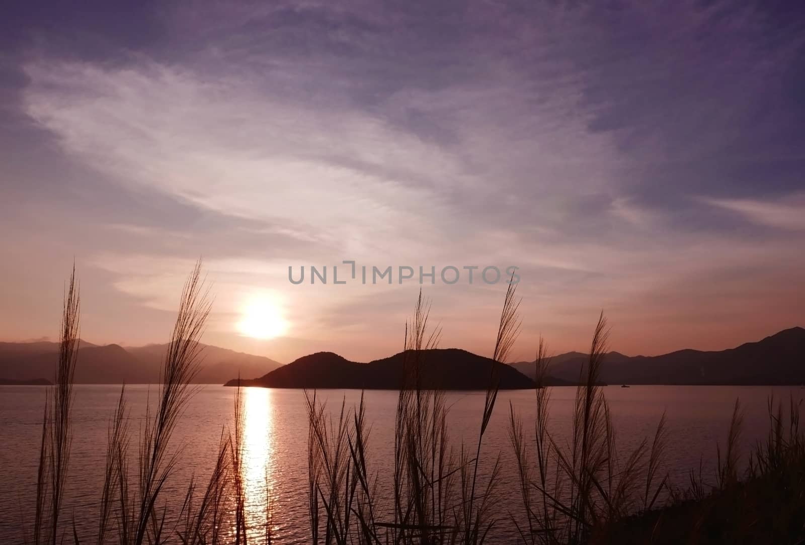 Silhouette of mountain, plant cloud and ocean at sunset by cougarsan