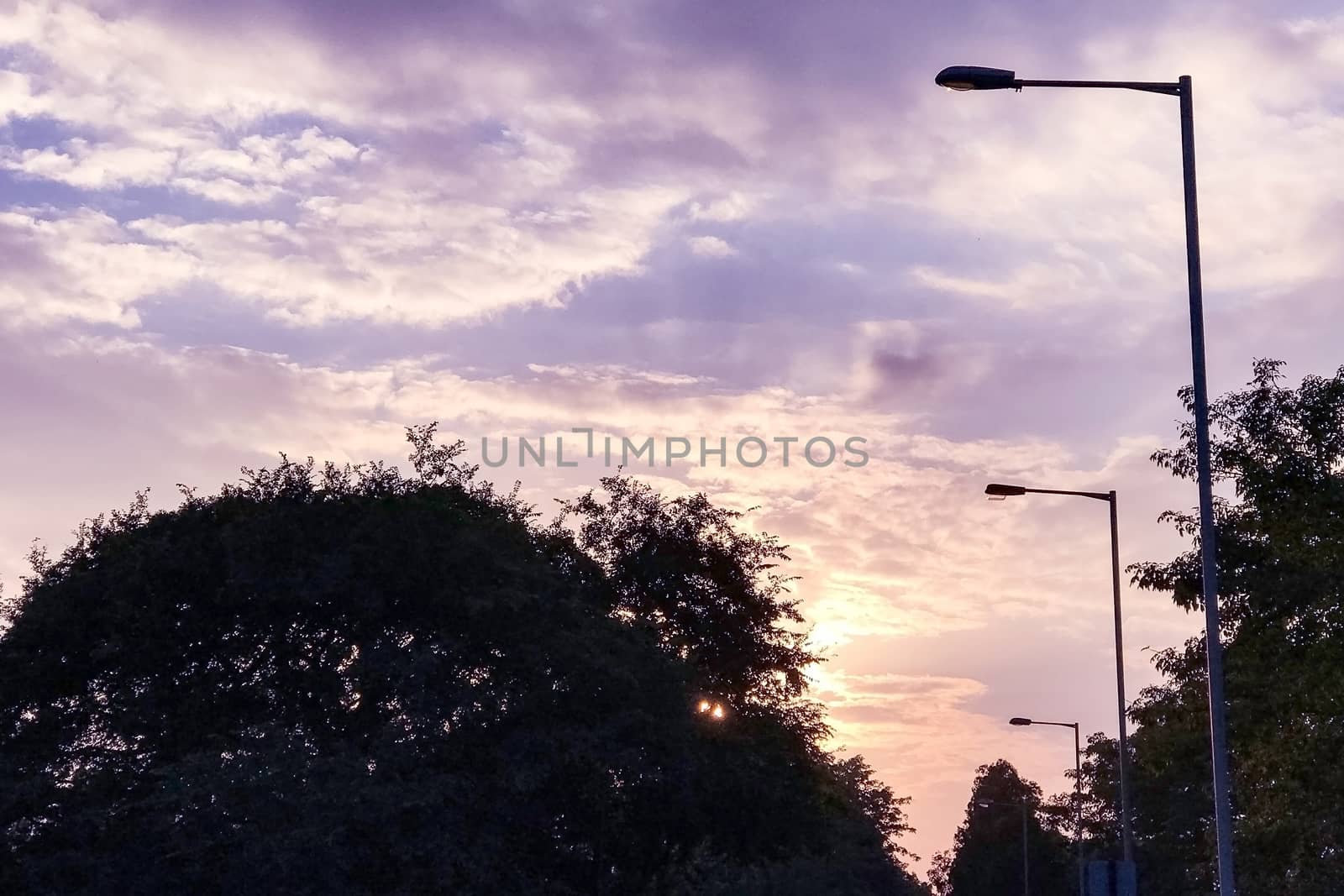 The silhouette of tree and street lamp with gradient purple sky by cougarsan