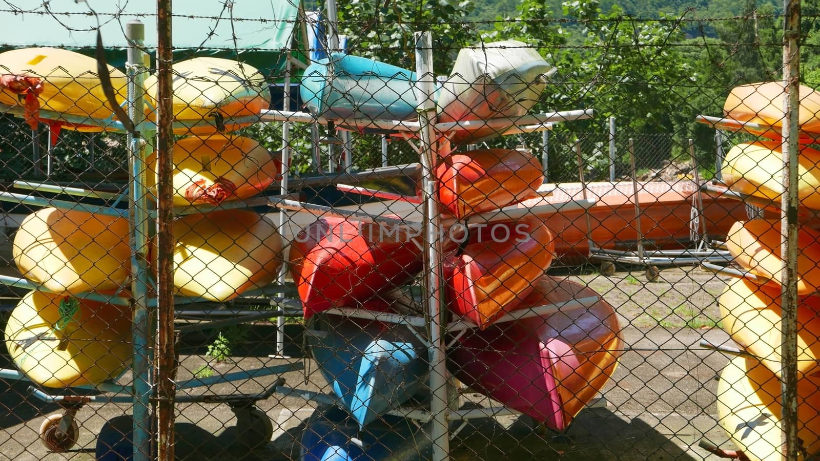 Colorful surfing boards are in outdoor storage area by cougarsan