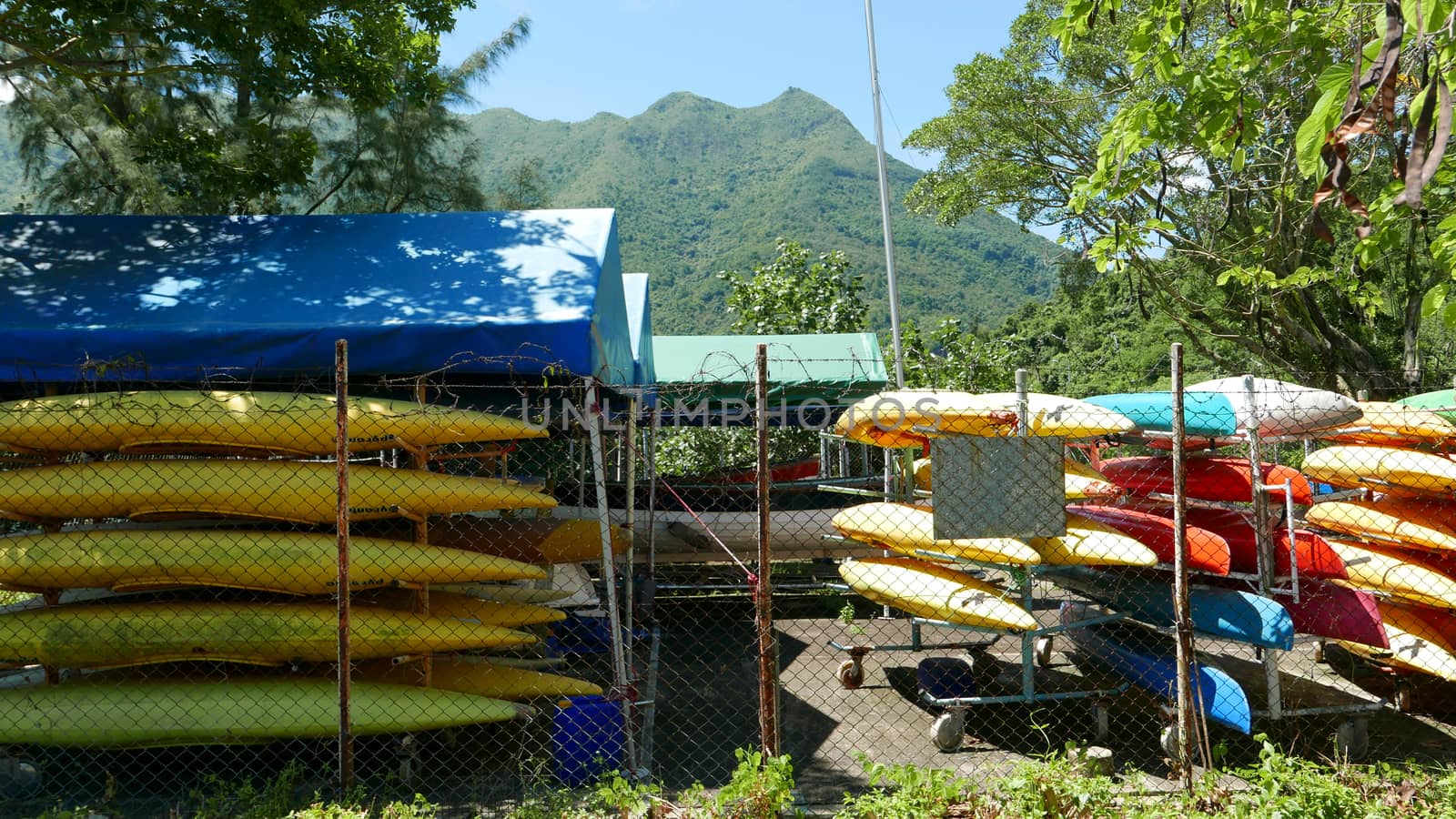 Colorful surfing boards are in outdoor storage by cougarsan