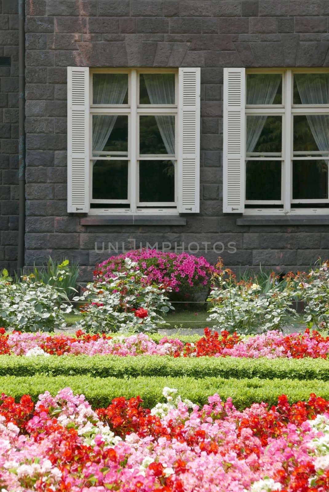 Townhouse in castle style with the window and backyard by cougarsan