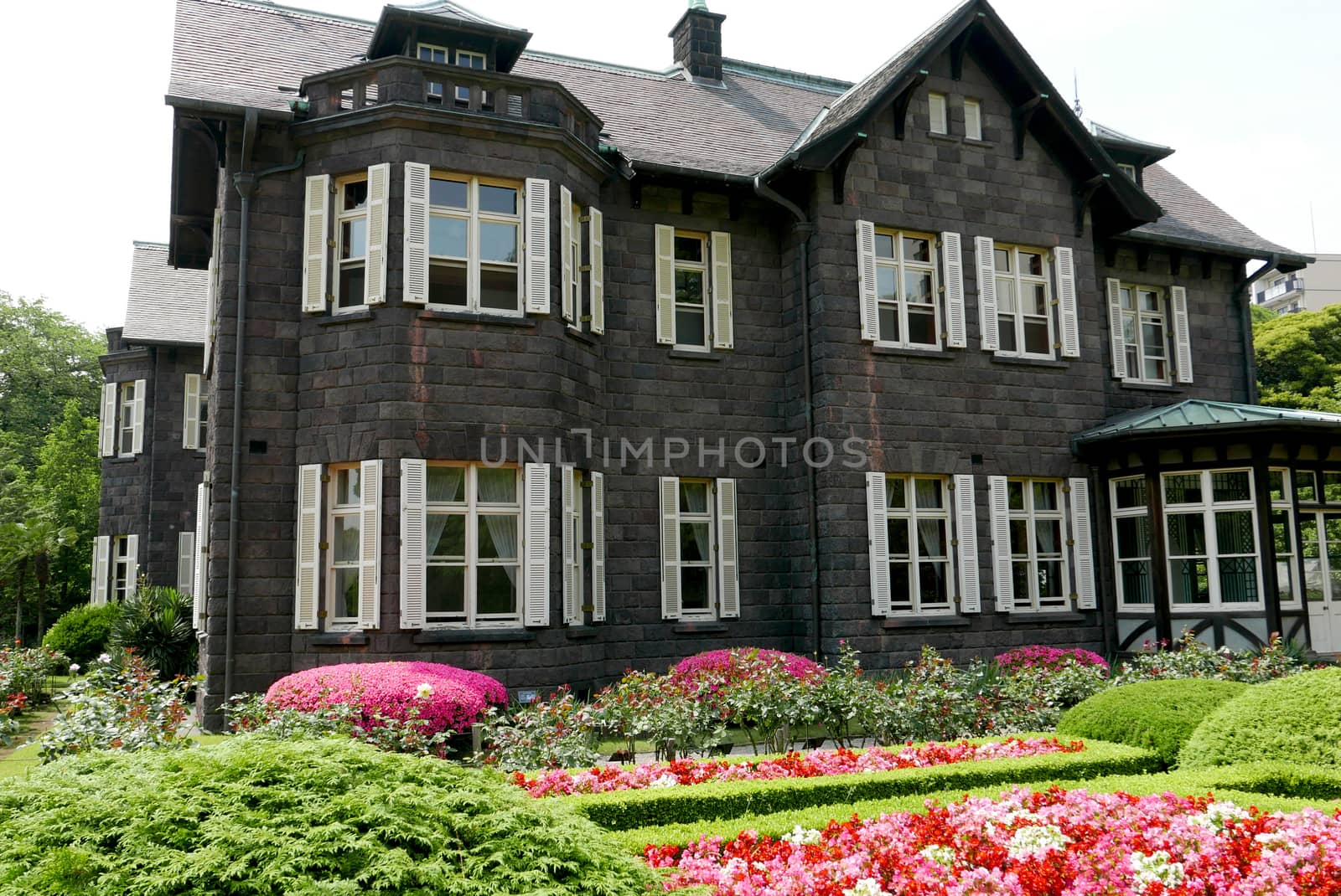 Townhouse in castle style with window and backyard by cougarsan