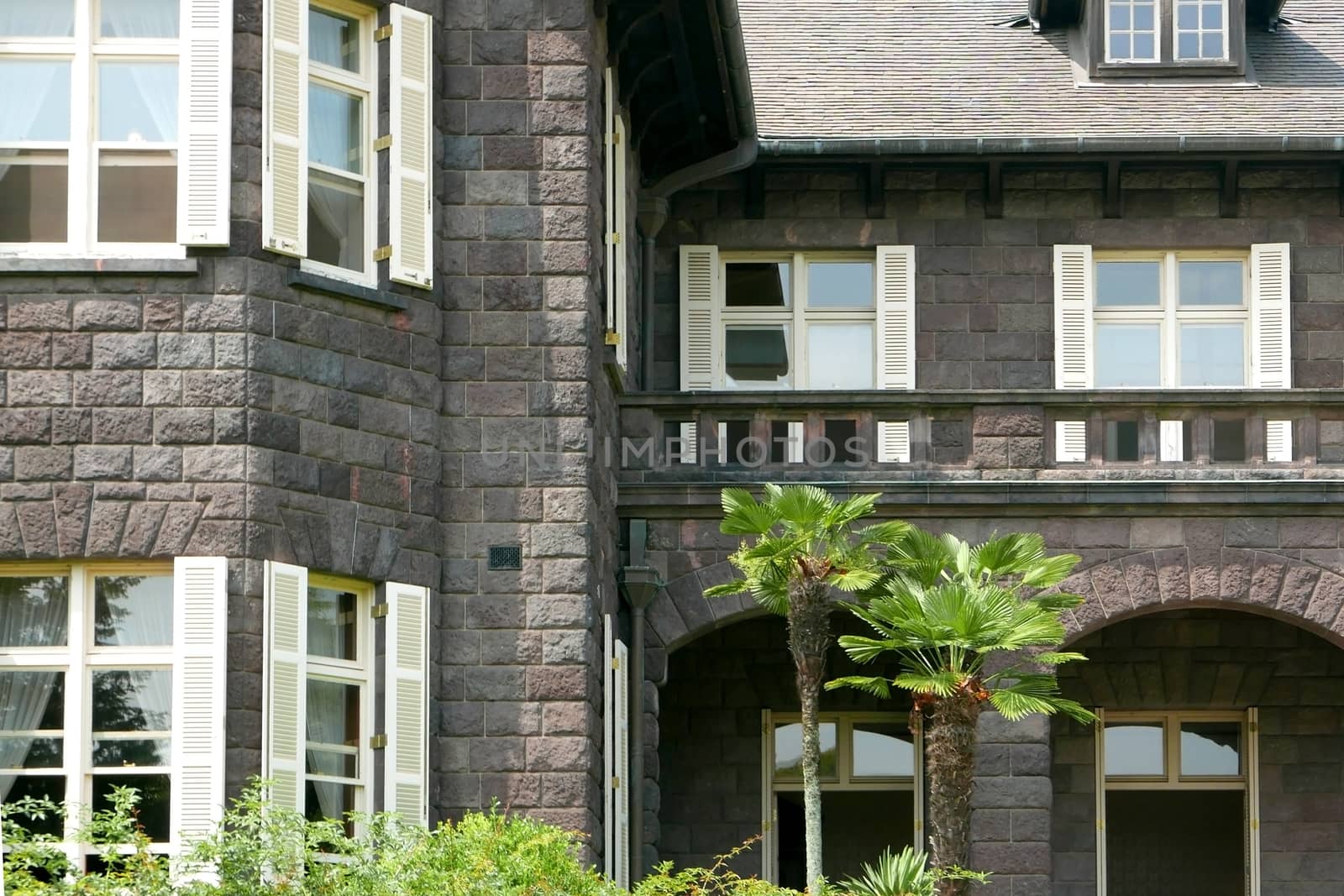 Townhouse in castle style with the window and front yard