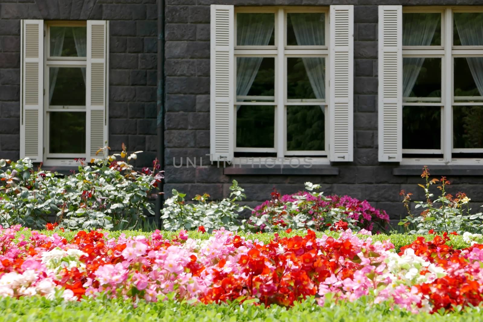 Townhouse in castle style with the window and front yard