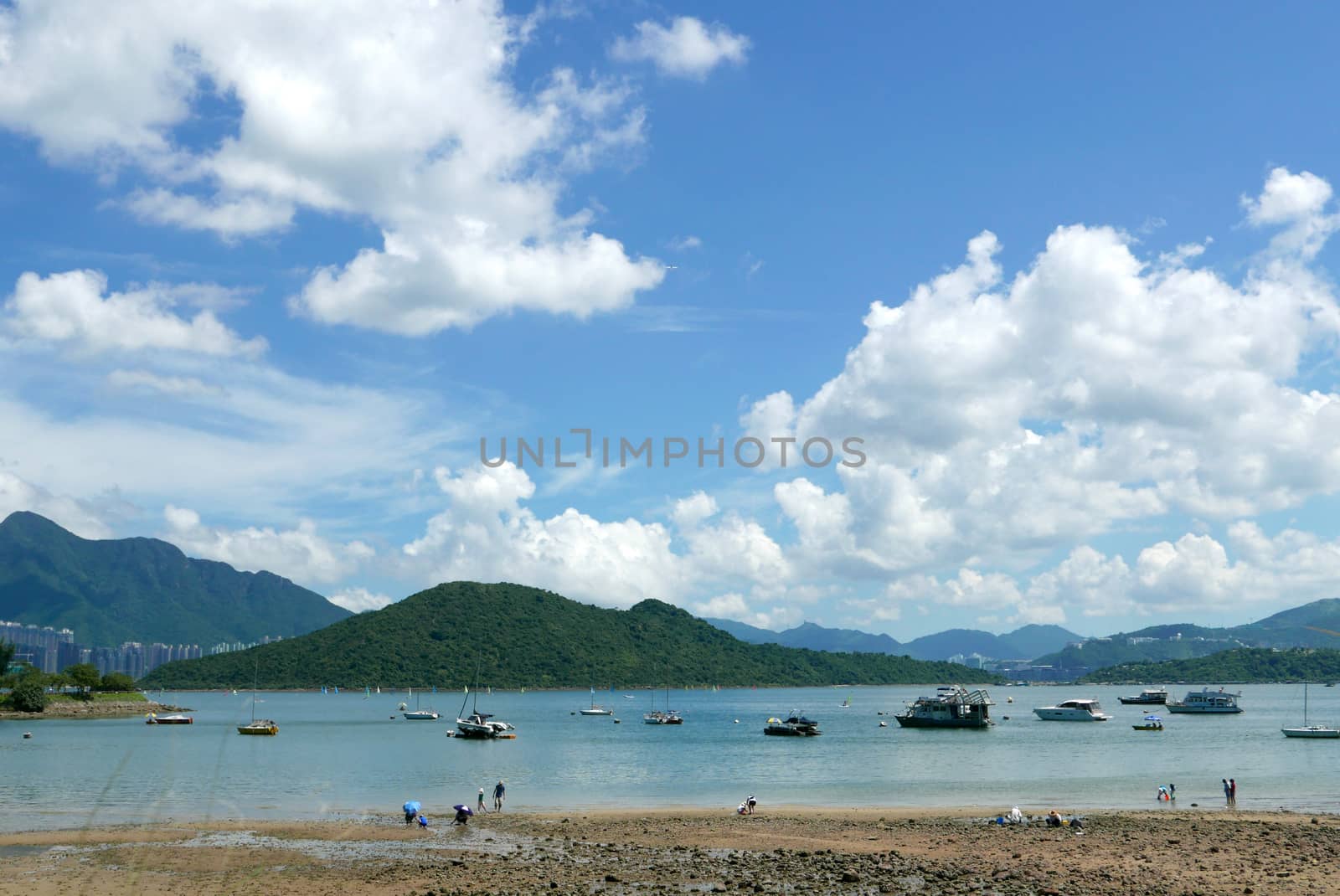 people play near the lake in the sunny holiday