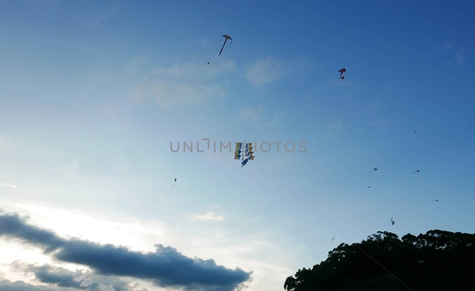 Cloud, blue sky, tree with flying kite  by cougarsan