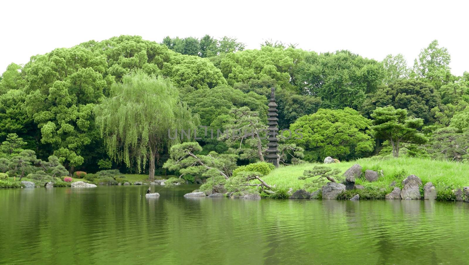 Japanese outdoor stone lantern and lake in the zen garden