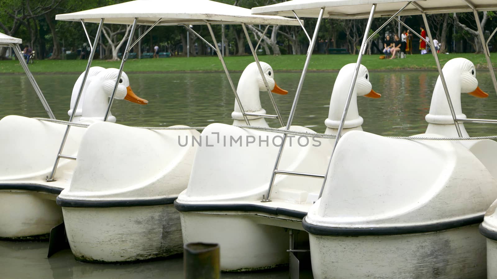 The back of vintage white duck recreation boat on the lake