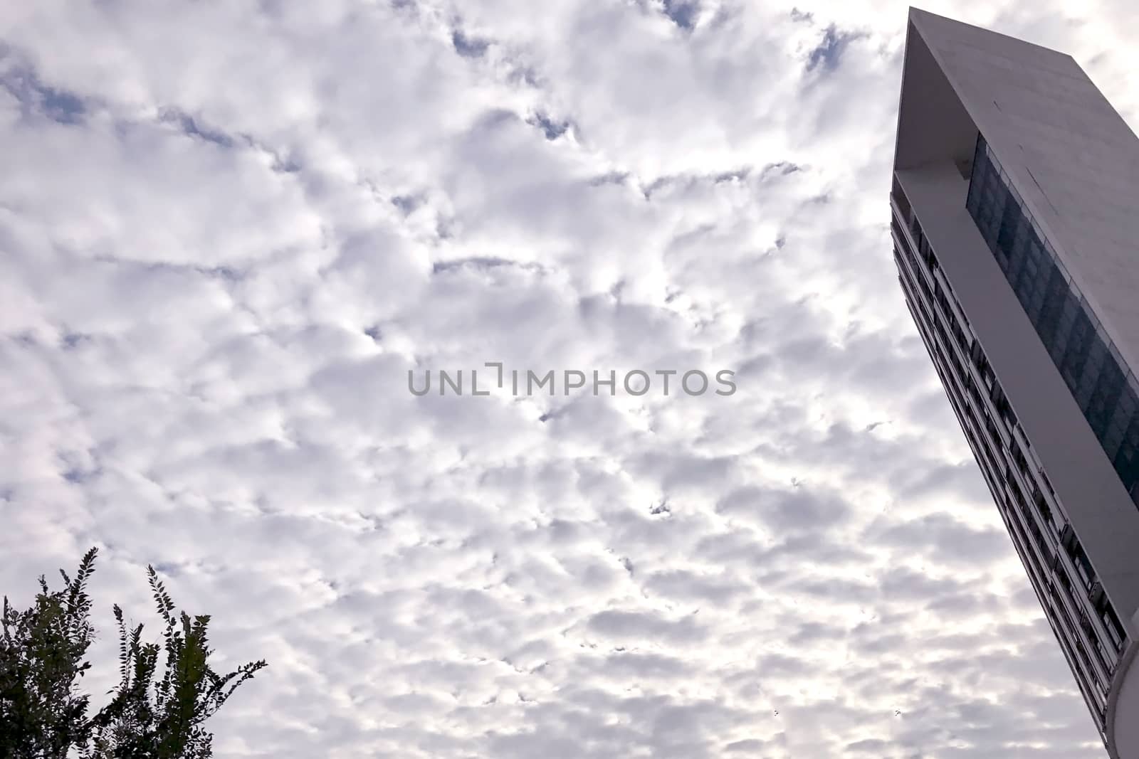 White cloudscape, plant and the building by cougarsan