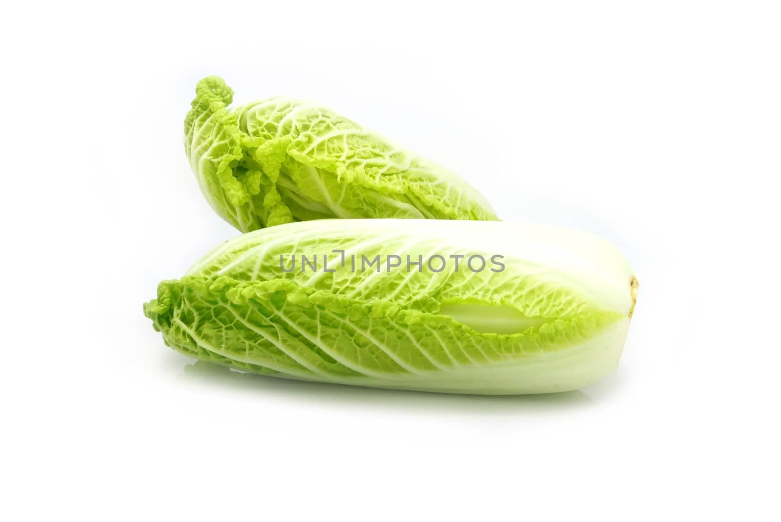 wombok vegetable isolated on white background