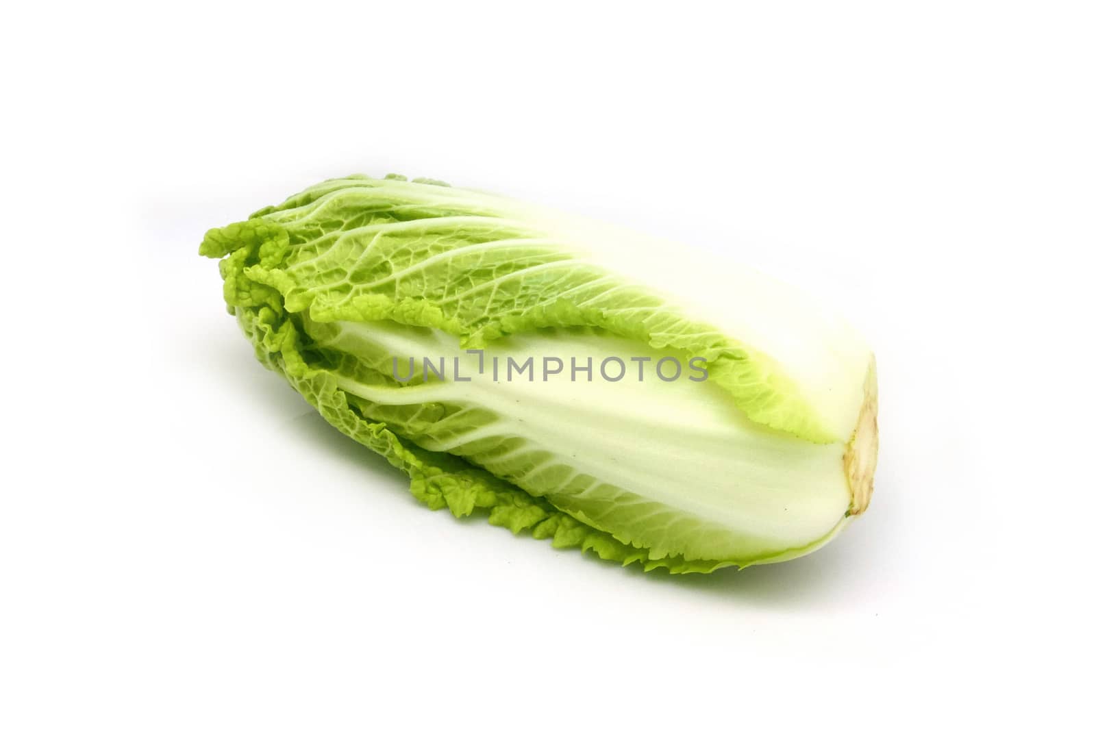 wombok vegetable isolated on white background by cougarsan