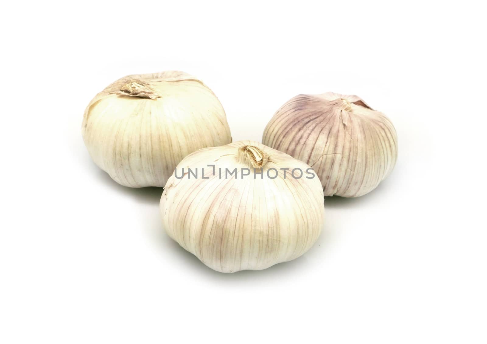 garlic closeup isolated on white background by cougarsan