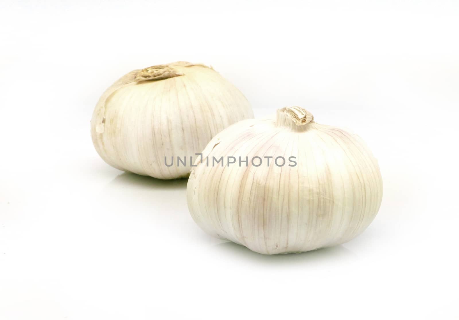 garlic closeup isolated on white background by cougarsan