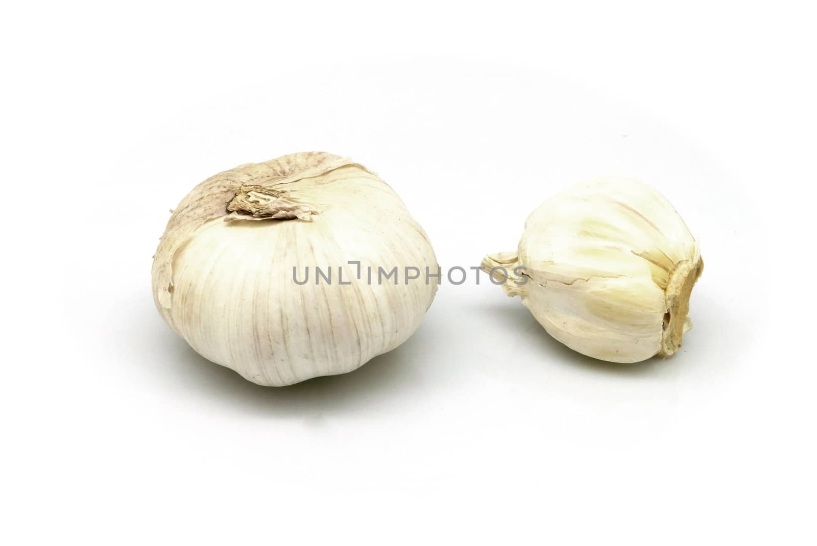 garlic closeup isolated on white background by cougarsan