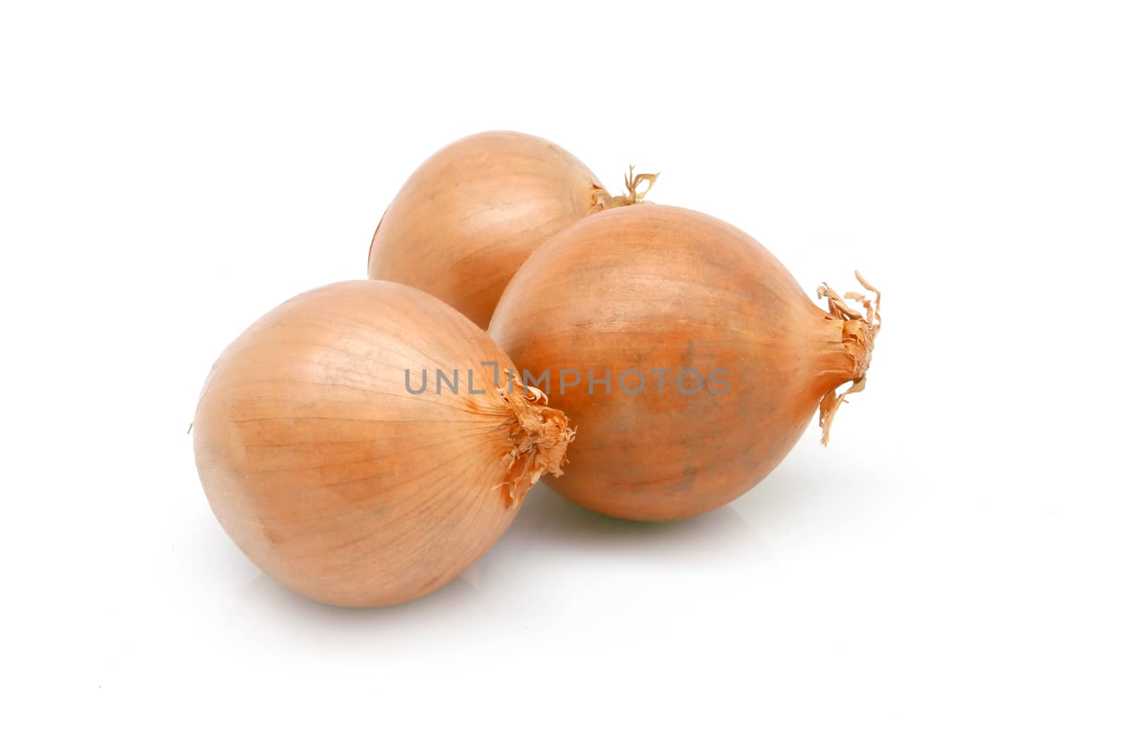 Brown Onions with shadow on white background by cougarsan