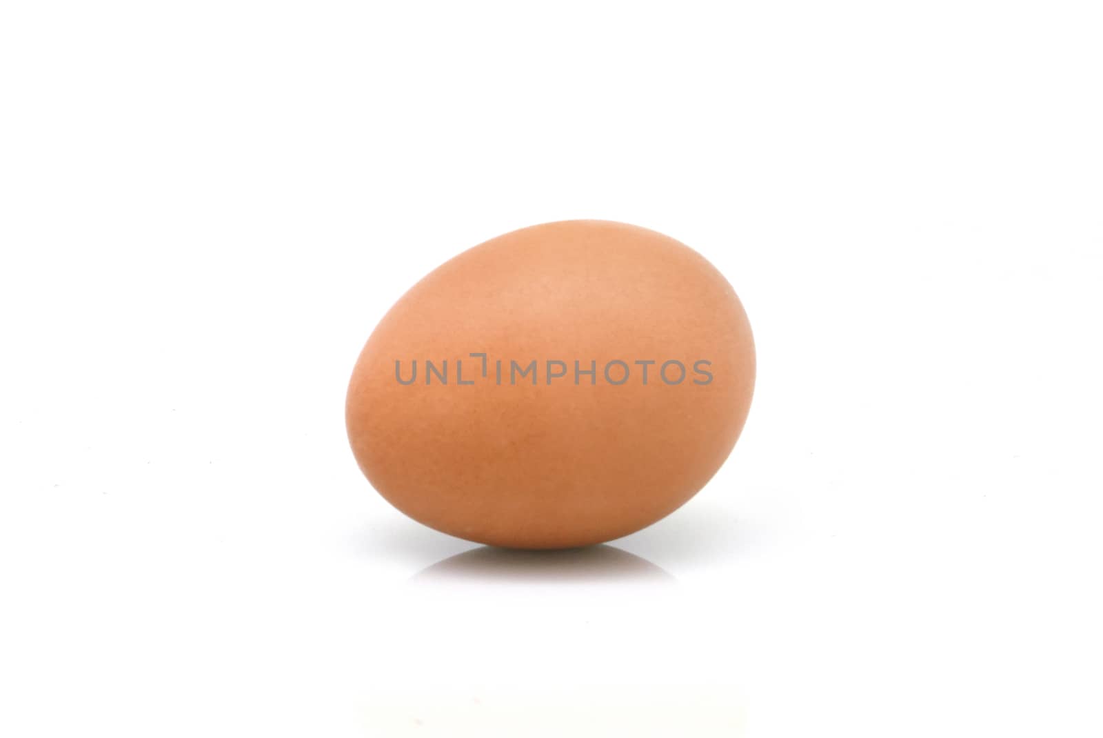 One egg with shadow on white background by cougarsan