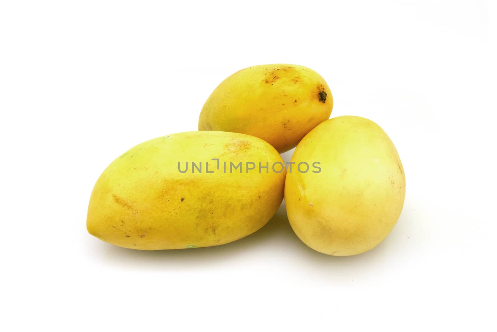 three yellow mangos on white background by cougarsan