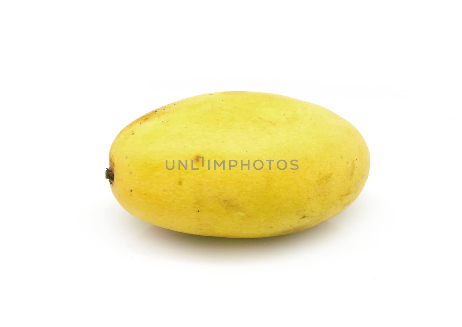 one yellow mango on white background by cougarsan