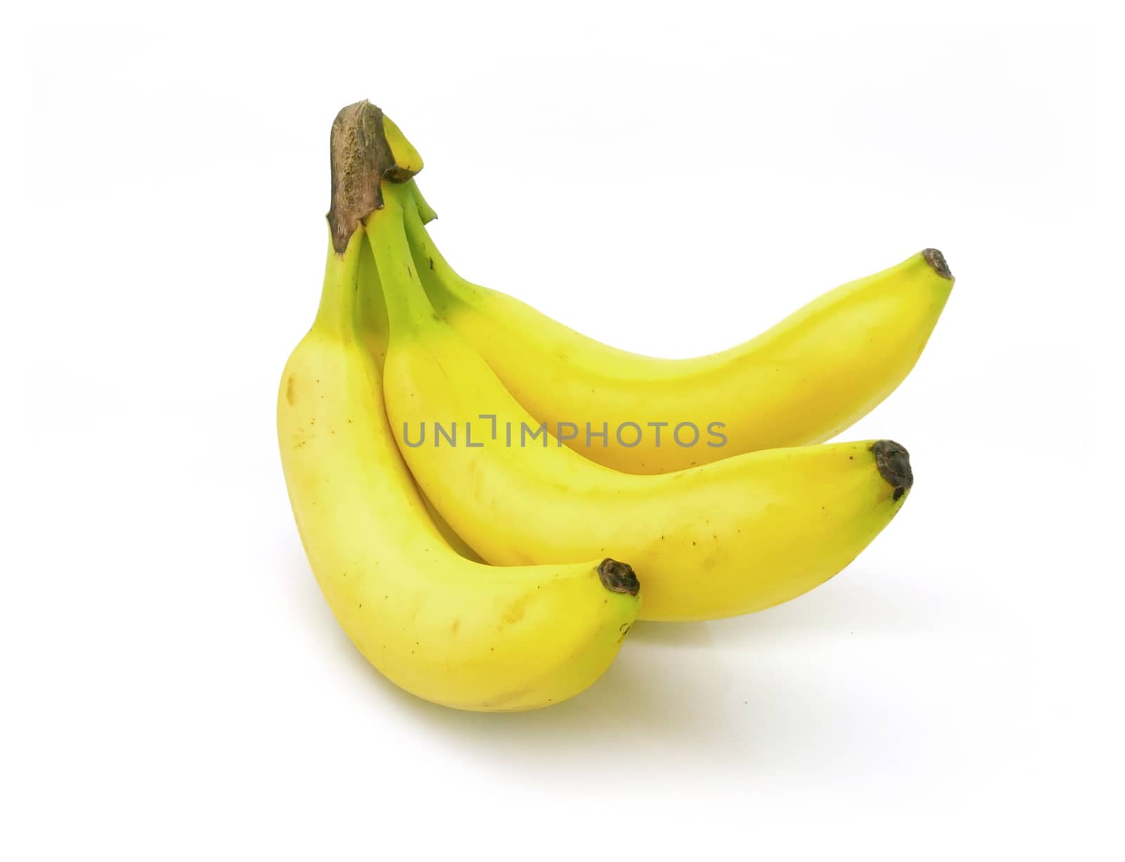 Bunch of bananas on white background by cougarsan