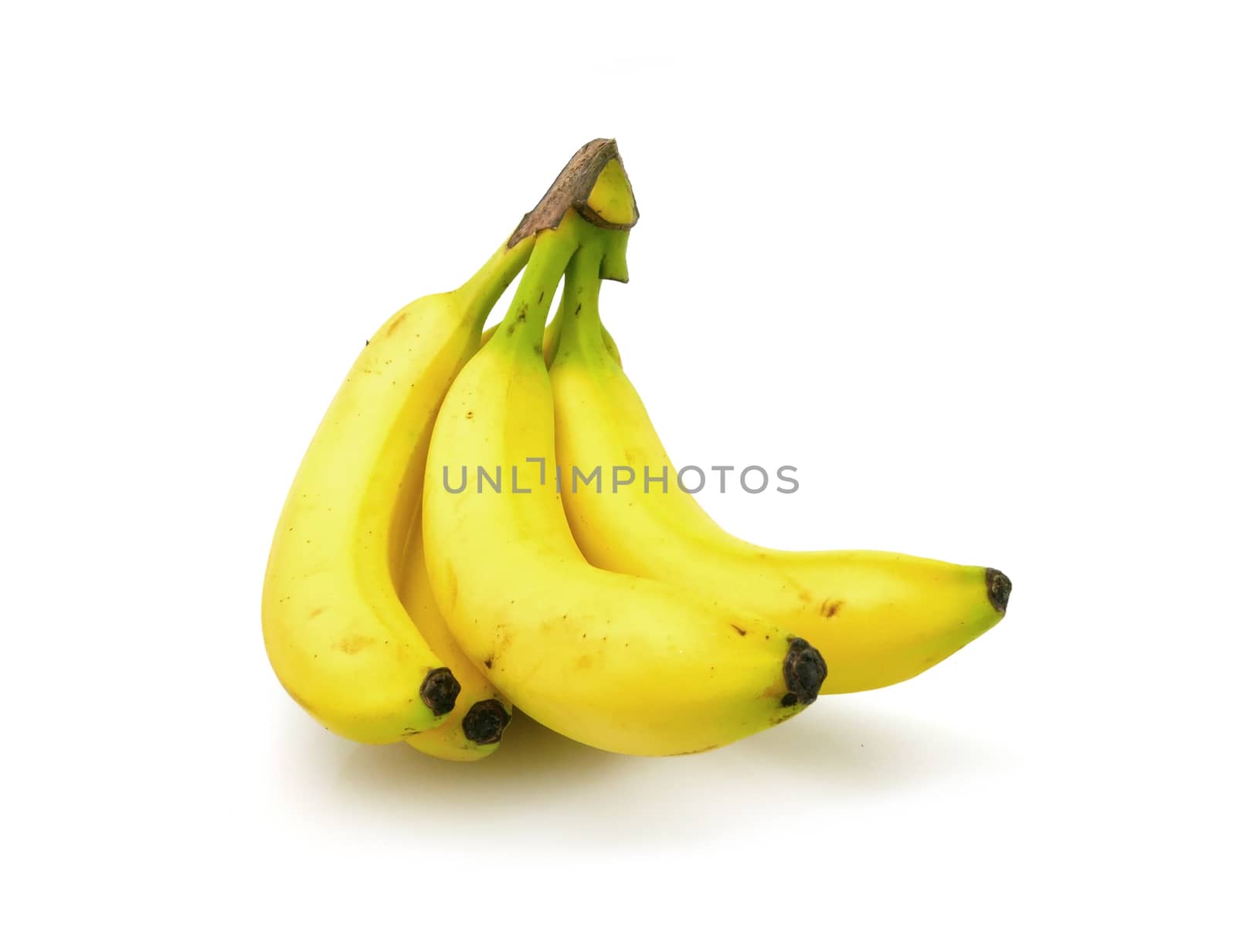 Bunch of bananas on white background by cougarsan