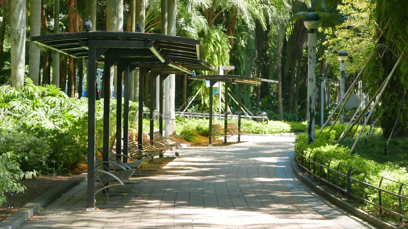 Outdoor wooden bench with their tree shadow are in the park