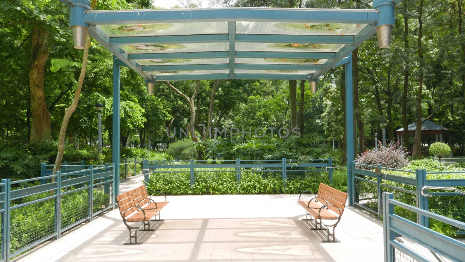 Few wooden benches with their tree shadow are in the park