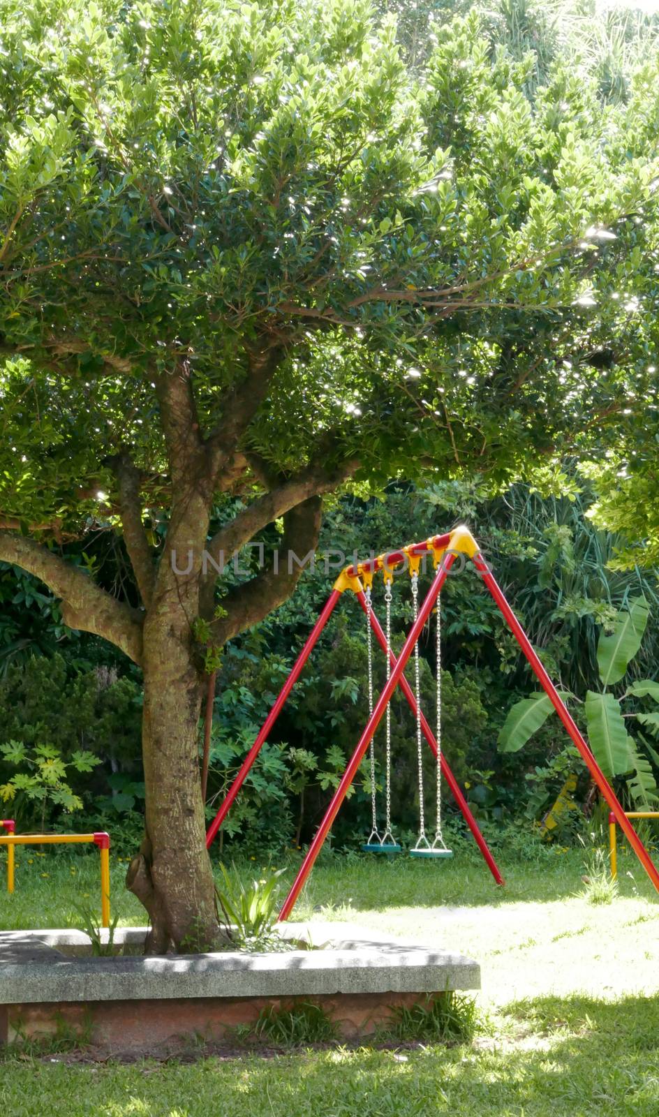 Colourful park swing on the grass by cougarsan