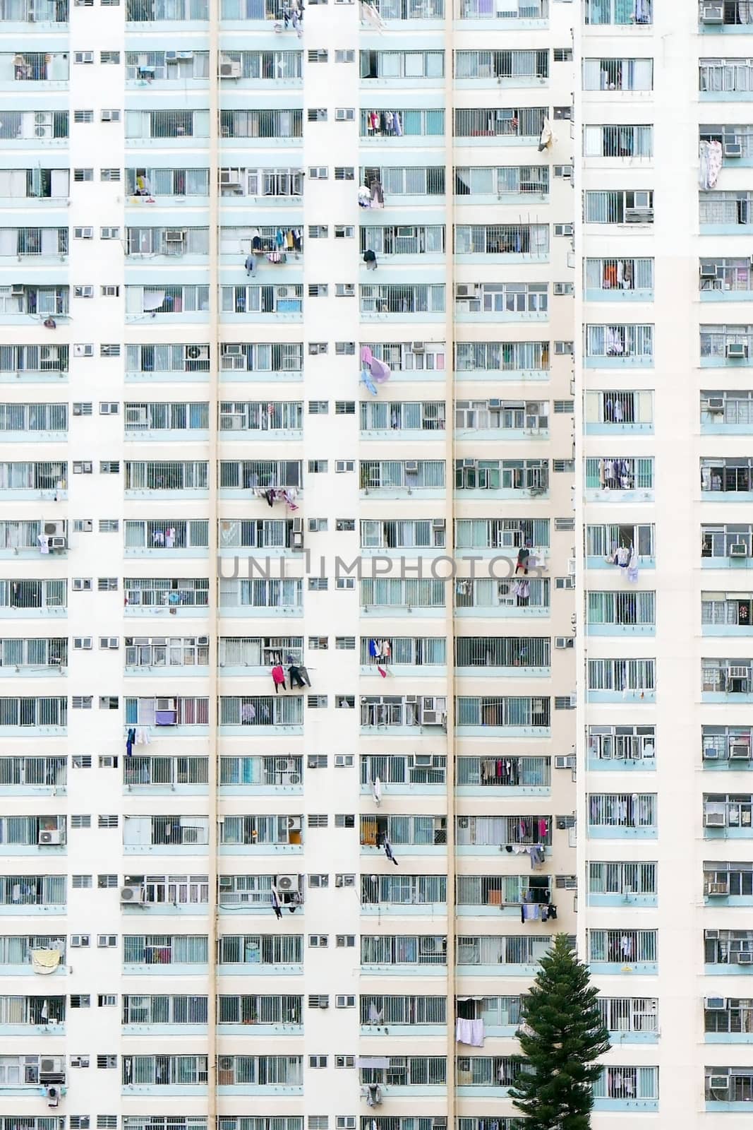 The old crowded housing apartment in Hong Kong residential estate by cougarsan