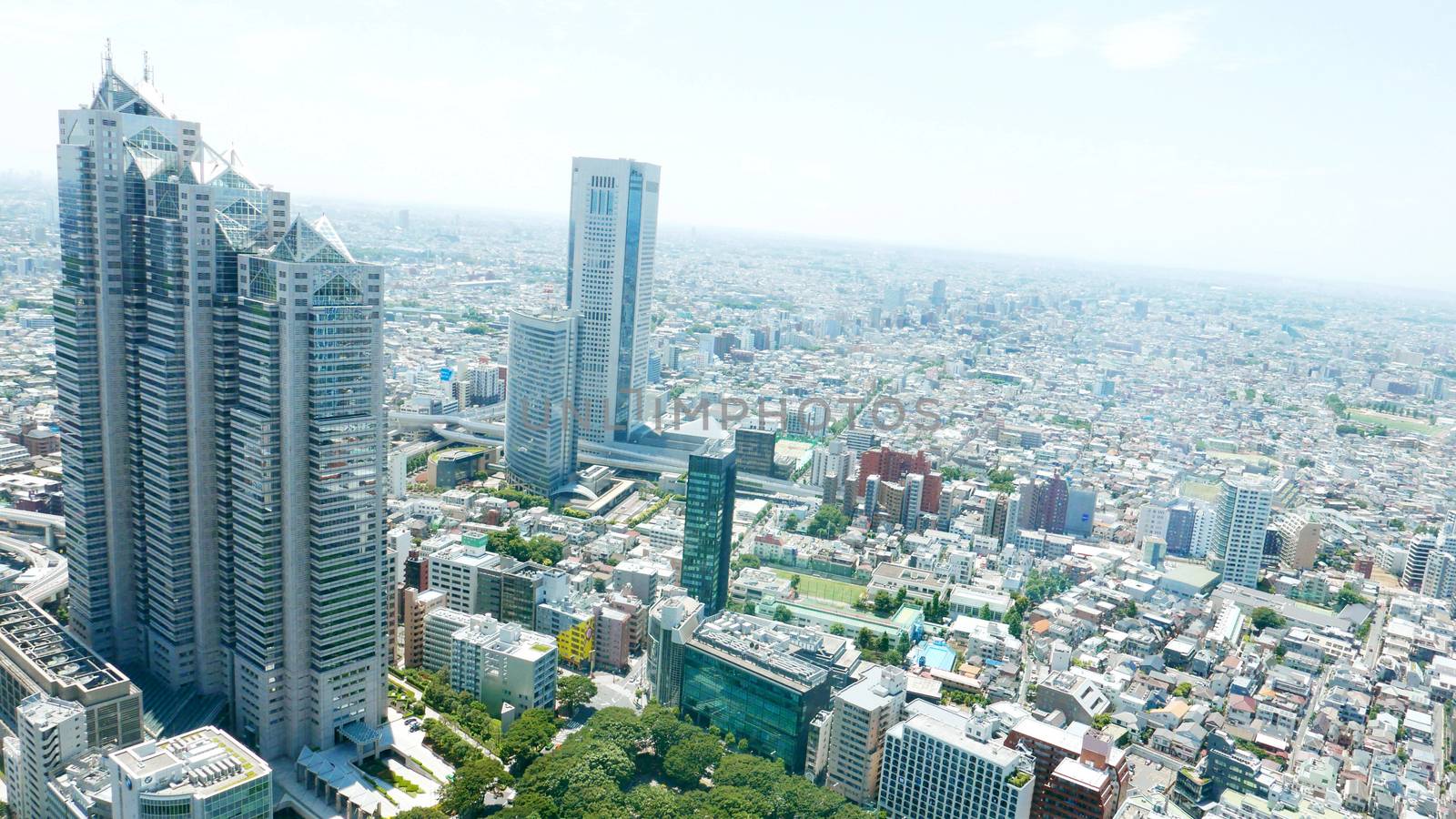 Japan Tokyo cityscape, commercial and residential building, road aerial view by cougarsan