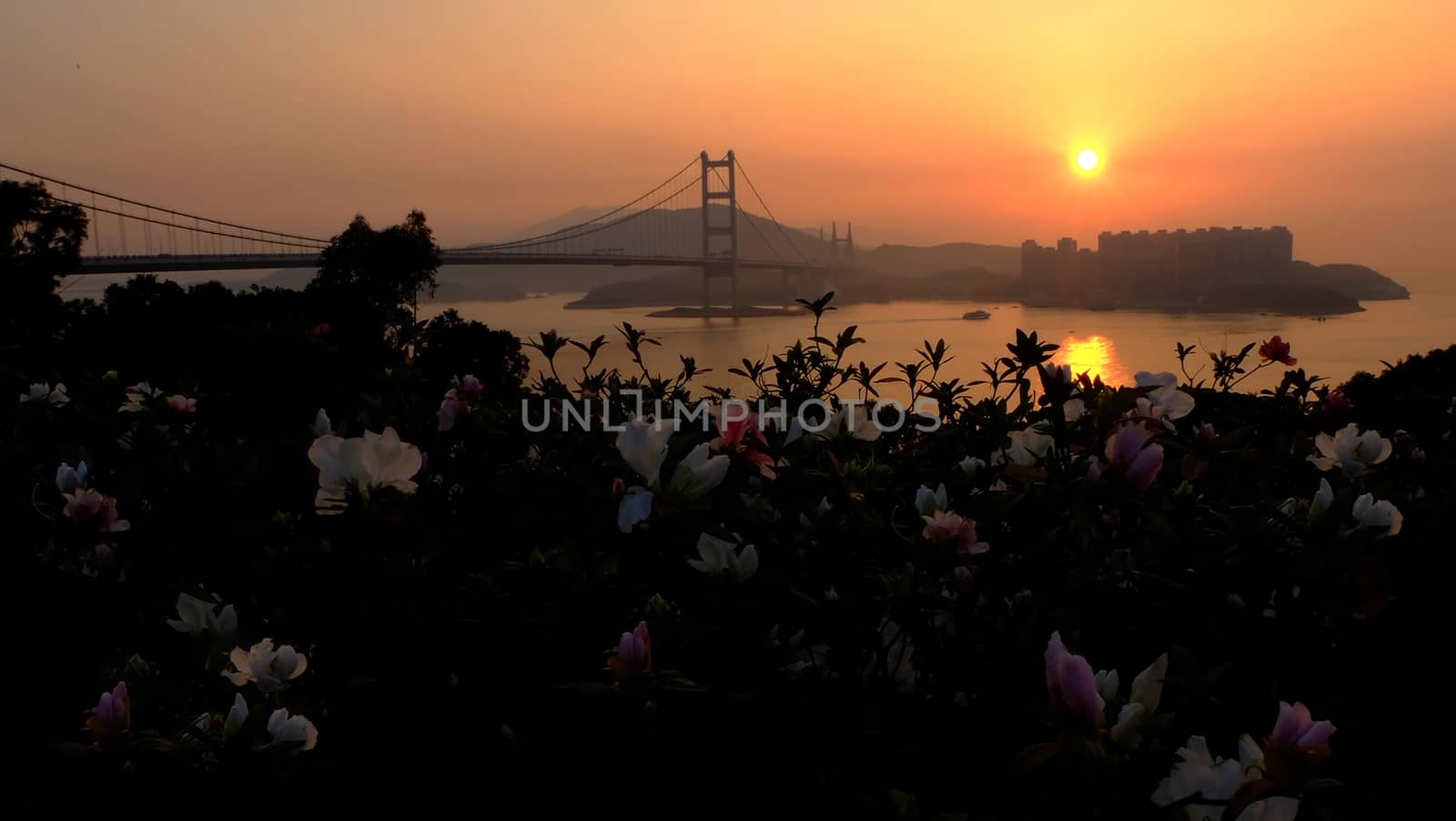 The silhouette of Hong Kong highway bridge building before sunset